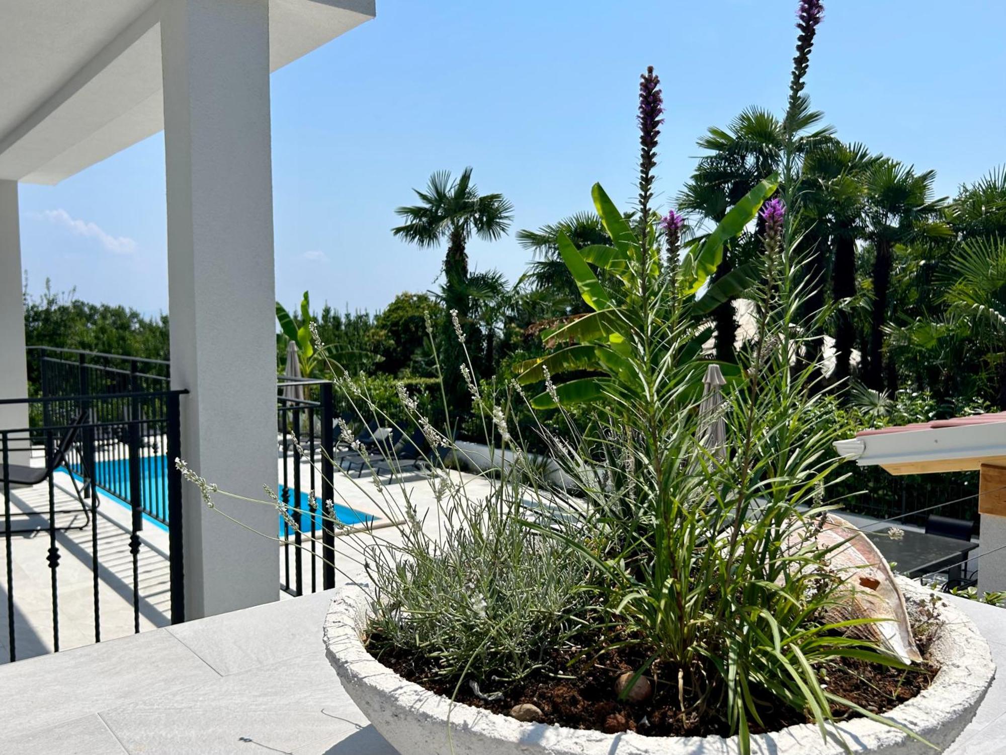 Villa Palma Lovran Dış mekan fotoğraf